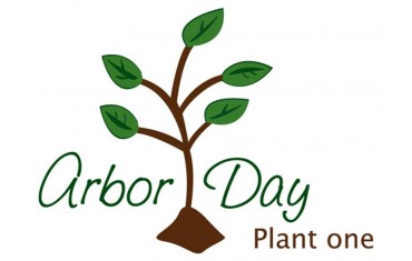 Gift Ideas for Arbor Day