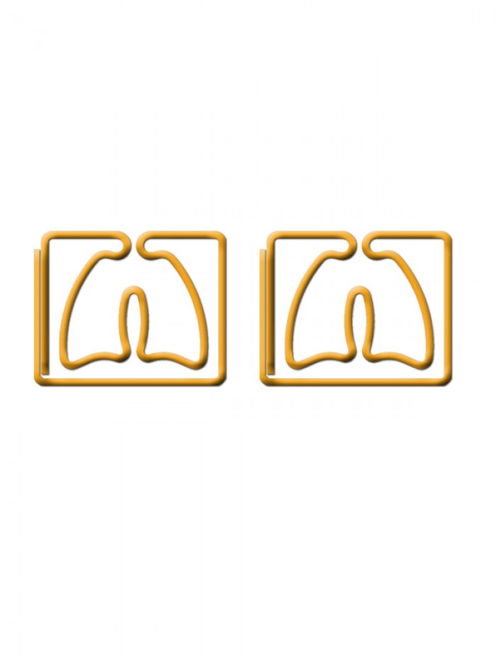 Organs Paper Clips | Lung Paper Clips | Cute Bookmarks (1 dozen/lot,41*35 mm)