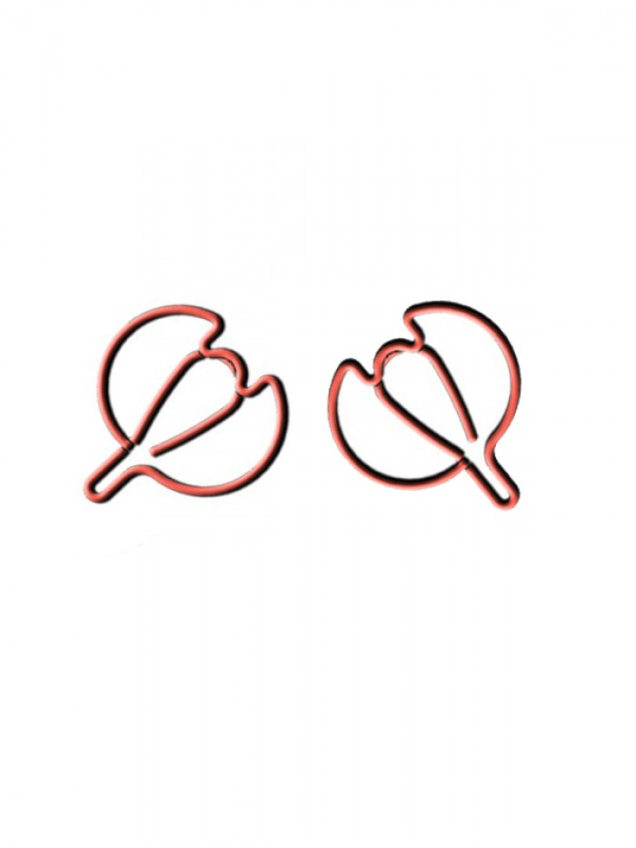 Fruit Paper Clips | Nutmeg Paper Clips (1 dozen/lot)